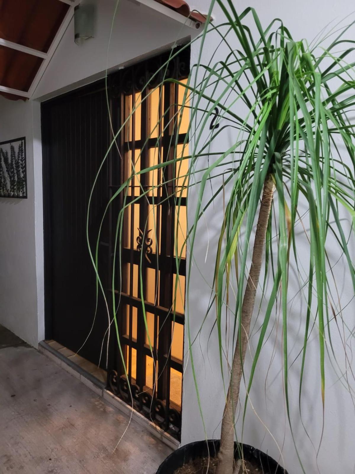 Casa B & L Centrico Departamento Apartment Oaxaca Exterior photo